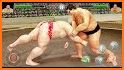 Royal Wrestling Cage: Sumo Fighting Game related image