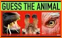 Guess the Animal related image