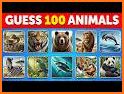 Animals Questions related image