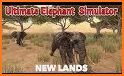 Wild Elephant Family Simulator related image