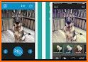 BarkCam related image