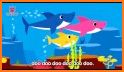 New Video Baby~Shark Song related image