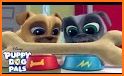 The Puppy Run  Dog Pals - Free Games related image