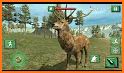 Wild Deer Hunting: Animal Hunting Games 2019 related image