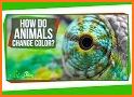 How do Animals Work? related image