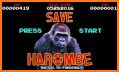 Harambe Kong related image