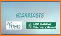 MSD Vet Manual related image