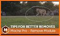 Object Removal Pro related image