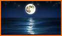 Meditation & Relaxation Music: Calm Sleep Sounds related image