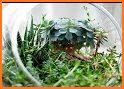 Gardenium Terrarium related image