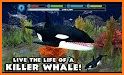 Orca Simulator: Killer Whale Simulator Game related image