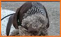 Bird hunt classic 2019 - bird shooting competition related image