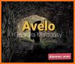 Avelo related image