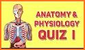 Anatomy Quiz : Physiology Quiz Test Your Knowledge related image