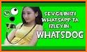 Vattsun - Whatsapp için online related image