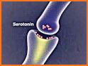 SSRIs animated related image