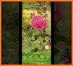 Blue Pink Rose Launcher Theme related image