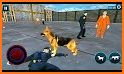 Police Dog Prison Escape Game related image