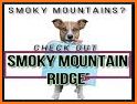 Smoky Mountain Deals and Attractions related image