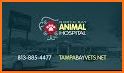 North Bay Animal Hospital related image