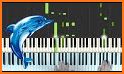 Dolphin Love Keyboard Theme related image