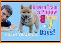 Puppr - Dog Training & Tricks related image