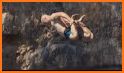 Swing Skills - Rope Swing related image