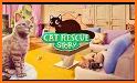 Cat Rescue Story: pets home related image