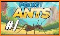 Magic Catch Pocket Ants : Pocket Ants simulator related image