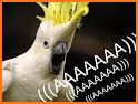 Scream Bird related image