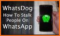 Whatsdog related image