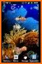 Koi Acquario Live Wallpaper related image