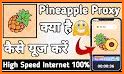 Pineapple Proxy - Easy Connect related image