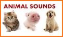 Free animal sounds for babies: name animal calls related image