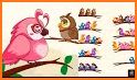 Color Bird Sort Puzzle Games related image