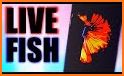 Fish Live Wallpaper Free related image