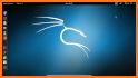 Kali Linux - For Beginners related image