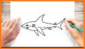 Shark Draw Step by Step related image