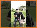 Dog whistle app: Dog clicker & Dog training online related image