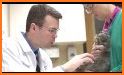 Veterinary Care of Exotic Pets related image