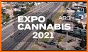 Expo Cannabis Argentina related image