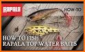 Rapala Fishing related image