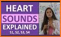 Heart Sounds And Murmurs related image