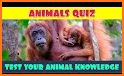 Animal Trivia Quiz related image