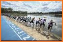 World Triathlon Almere 2021 related image