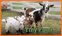 Tiny Farm® related image