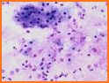 American Soc. of Cytopathology related image