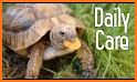 TORTOISE CARE 101 related image