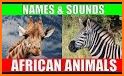 Animals names and sounds - No Ads related image