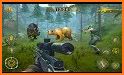 Animal Hunting: Safari 4x4 armed action shooter related image